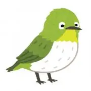 メジロ