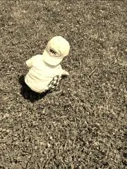 Kの画像