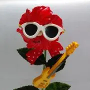 Miiさんの画像