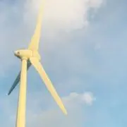 めじるしネキの画像