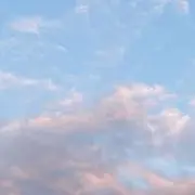 しらたまの画像
