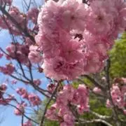 m tの画像