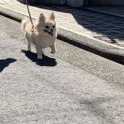 セプテンバーの画像
