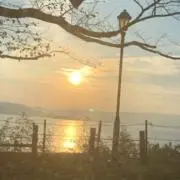 まるまるの画像