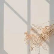 s mの画像