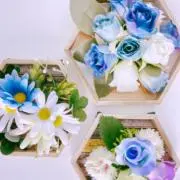 あずきちの画像