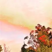 かの画像