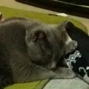 なあさ(プロフもご覧下さいm(__)m)