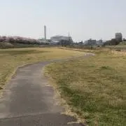 かりんの画像