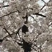 minの画像