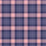 leeの画像