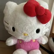 りんご　プロフィール一読お願いしますの画像
