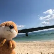 うららの画像