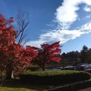 そらの画像