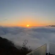 ジェスターの画像
