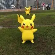 たかの画像