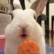 健康生活の画像