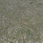 cwの画像