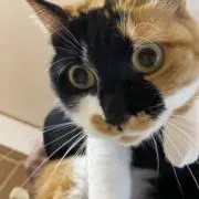 tammybonjoviの画像