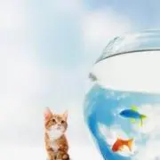 断捨離