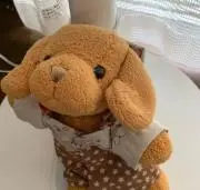 やっこちゃんの画像