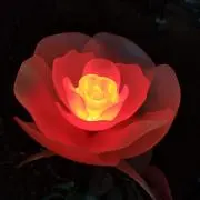 kk5110の画像