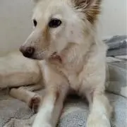 もらちゃんUo・ェ・oU
