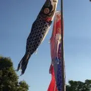 Wind