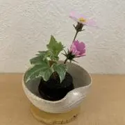 248の画像