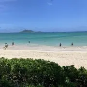 ちーの画像