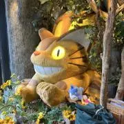 tanachuuの画像