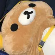 ゆきち