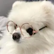 yuiの画像