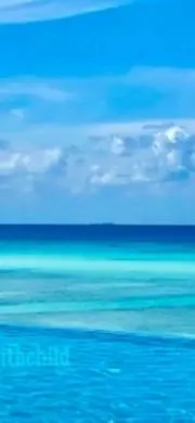 seaの画像