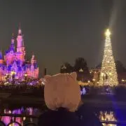 なんなんの画像