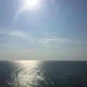 B.Ys