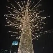 ドレミの画像