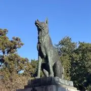 saltの画像