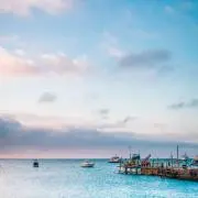 chi-の画像