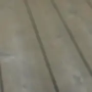 まの画像