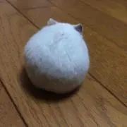 ゆがみ