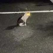 タブー