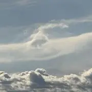 ytの画像