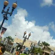❁m..❁