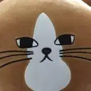 ちゃんぽん