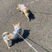 ⭐︎MI⭐︎の画像