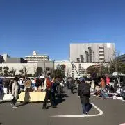 Shotaの画像
