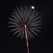 さくきちの画像