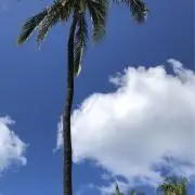 kei..の画像