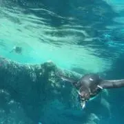 勇者の画像